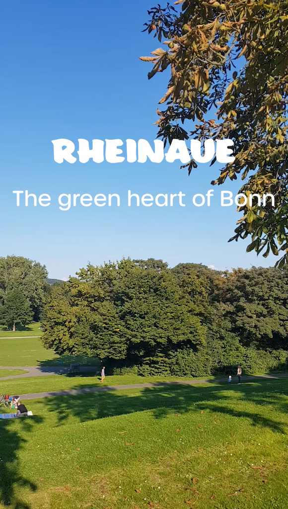 The green heart of Bonn: Rheinaue
