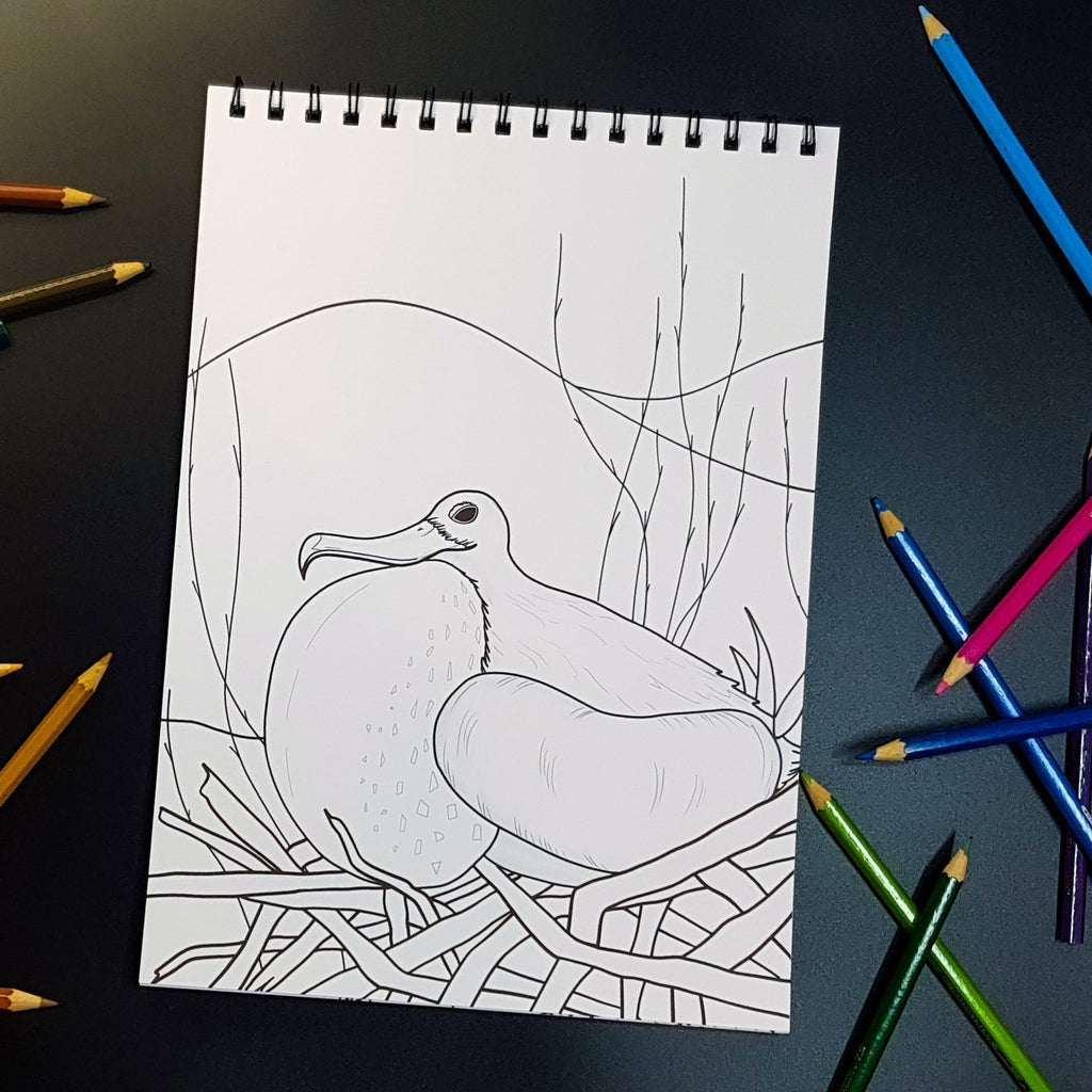Bring Panama's Biodiversity to Life: A Frigate Bird Drawing Timelapse